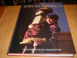 Potok, Chaim (introduction), David Cohen (editor) - The Jews in America.