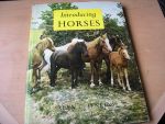 Jenkins, Alan C. - Introducing Horses;  ca 85 pages with great black and white Photo`s and short textes