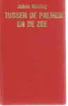 Hidding, Johan - Tussen de palmen en de zee: Rozen aan de Riviera & Stormen aan de Riviera & Huwelijksreis naar het g