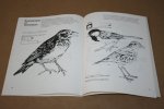 David Brown - Teken vogels