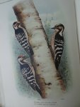 Oort, E.D. van. - Ornithologia Neerlandica. De vogels van Nederland. Oort, E.D. van. - Ornithologia Neerlandica. De vogels van Nederland.