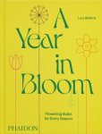 Lucy Bellamy - A Year In Bloom