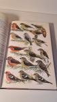 Peter Clement - Finches & sparrows An identification guide