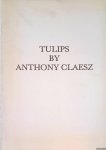 Segal, Sam - Tulips by Anthony Claesz : 56 seventeenth century watercolour drawings by Anthony Claesz (ca. 1607/08-1649)