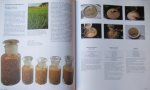 - Culinaria, Europaische Spezialitäten 2 delen - Culinaria, Europaische Spezialitäten 2 delen