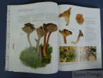 Peter Jordan, Steven Wheeler. - Paddestoelen: Alle soorten van A tot Z. Met 99 originele recepten. Peter Jordan, Steven Wheeler. - Paddestoelen: Alle soorten van A tot Z. Met 99 originele recepten.