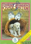 Diverse auteurs - Honden & Katten. Een speels album over je beste dierenvrienden / Chiens & Chats. L'Album jeu sur tes meilleurs amis