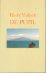 Mulisch, H. - De pupil / druk 4