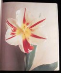 Lemmers, Willem photographer Baker, Christopher - Tulipa A Photographer's Botanical