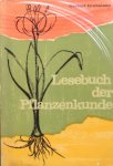Grohmann, Gerbert - Lesebuch der Pflanzenkunde