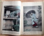 Reproduced by K. by K. Ogawa - Illustrations of Japanese Life