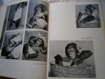 Hess, Ludo - Christine, de baby chimpansee