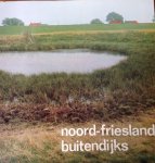 Abrahamse, J. (red.) - Noord-Friesland buitendijks