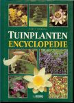 Noordhuis, Klaas T .. omslagontwerp Ton Wienbelt den Haag - Tuinplanten encyclopedie .. De mooiste tuinplanten en hun varieteiten : met handige overzichten naar kleur , hoogte en bloei - en groeiwijze