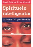 Danah Zohar,Ian Marshall - Spirituele intelligentie