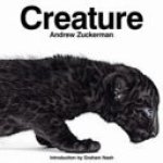 Andrew Zuckerman - Creature