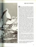 Stonehouse, Bernard   ..  Vertaling  Ruud Rook  met een Voorwoord door Z.K.H. Prins Bernhard.   64 Bladzijden met kleuren fotos en 100  zwart-wit   fotos - Red de dieren.