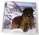 Onbekend - Dogs Honen Chiens Hunde Cani Perros A-G