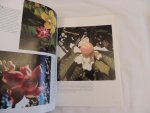 Hartogh, Nicky / Smit, Daan - FLORA IN FOCUS - BOTANISCHE TUINEN - BAROKKE TUINEN - TROPISCHE TUINEN