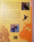Ommen , Erik van . & Koos Dijksterhuis . [ ISBN 9789050111904 ] 4728 - De Kiekendieven van het Oldambt . ( Beeldend kunstenaar Erik van Ommen ging op zoek naar de grauwe kiekendief. Hij bezocht de broed-, trek- en overwinteringsgebieden van deze zeldzame roofvogel. Tijdens deze trektocht, die hem bracht tot in het -