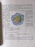 von Otto Ernst mit Bildern von Richard Scholz 1911 - Appelschnut von Otto Ernst mit Bildern von Richard Scholz 1911 - Appelschnut