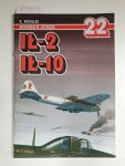 Michulec, Robert: - IL 2 IL 10 - Monografie