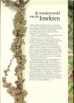 Donk Martin van der Teo van  Gerwen, fotografie  Jan van Kam - Wonderwereld van de insekten ( over vlinders, libellen, waterinsekten, wantsen ,snavelinsekten, hommels, bijen, bladwespen, kevers )