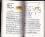 McGavin, George C. - The pocket guide to insects of the Northern Hemisphere