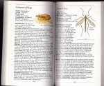 McGavin, George C. - The pocket guide to insects of the Northern Hemisphere