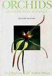 Hoffman, Noel; Andrew Brown - Orchids of South-West Australia