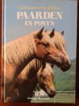 Henschel, Georgie - Geïllustreerde gidsen PAARDEN EN PONY'S