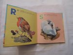 Margaret Barr - illustrated by J.B. Long. Verses by Margaret Barr. - My A.B.C. picture book of birds