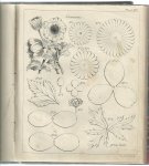 [Maria] - Flora voor dames. Handleiding tot het bloemenmaken