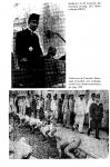 Jansen, L.F. - In deze halve gevangenis /dag boek van mr dr L.F. Jansen Batavia /Djakarta 1942-1945