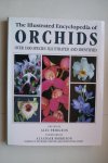 A. Pridgeon ; Morrison, Alasdair - Illustrated Encyclopedia of Orchids  over 1100 species illustrated and identified
