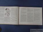 Bauweraerts, H. / Monden, L. / Van Laer, J. (ed). - Dit nieuw seizoen IV: Herfst.