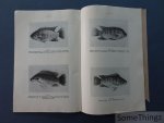 A. De Bont, et al. - Premières directives pour l'élevage des poissons en étangs au Katanga: pisciculture des tilapia