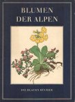 Weisz, Josef - Blumen der Alpen