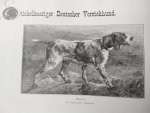 Bylandt, H.A.Graaf Van. - Rashonden-Album. Verzameling van afbeeldingen van alle bestaande rassen. (Ontwerp band is van Arthur Wardle)