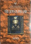 Andrzej K. Paluch, Sławomir Kapralski - The Jews in Poland - Volume 2