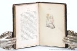 Lavater - Le Lavater des dames, ou l'art de connaître les femmes sur leur physionomie. Septième édition.