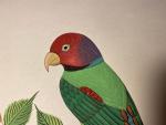 Dangol, R - schilder - Aquarel van een Blossom-headed Parrot uit Nepal