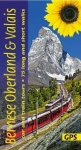 Reinhard Scholl 133428 - Bernese oberland and valais Car and train tours, 75 long and short walks