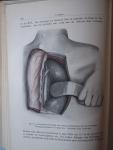 Bier, A, H.Braun, H. Kümmell - Chirurgische Operationslehre Band II : Operationen am Brustkorb und Bauch