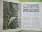 Heimans, Jaspers & Thijsse, - De Levende Natuur. Tijdschrift voor natuurliefhebbers.