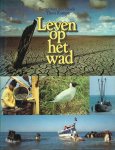 Hoek - Leven op het wad