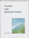 Roman, Sanaya - Groeien naar spiritueel inzicht Roman, Sanaya - Groeien naar spiritueel inzicht