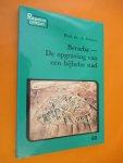 Schoors prof. dr. A. - Berseba, de opgraving van een bijbelse stad