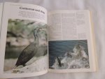 FLEGG,JIM - Theresa Brendell - BIRDS OF THE BRITISH ISLES - Shire Natural History Series