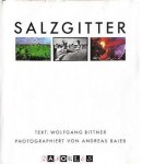 Wolfgang Bittner. Andreas Baier - Salzgitter. Eine Deutsche Geschichte / A German History / Une Histoire Allemande